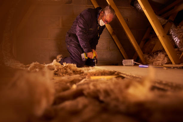 Best Attic Insulation Installation  in Gillette, WY